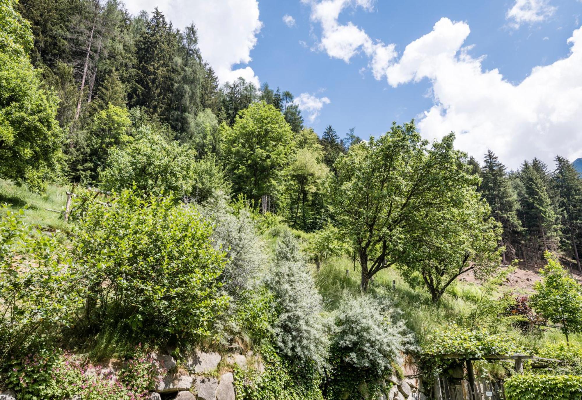 Naturresidenz Mair Zu Hof Campo Tures Eksteriør billede